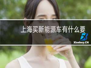 上海买新能源车有什么要求