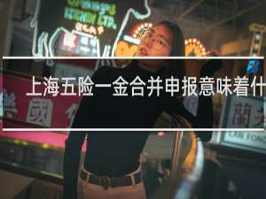 上海五险一金合并申报意味着什么