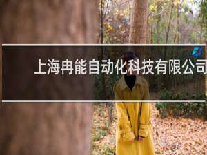 上海冉能自动化科技有限公司