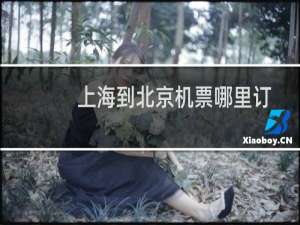 上海到北京机票哪里订
