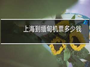上海到缅甸机票多少钱