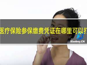 上海医疗保险参保缴费凭证在哪里可以打印