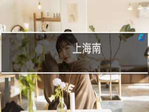 上海南