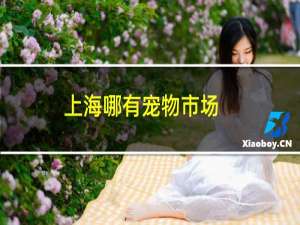 上海哪有宠物市场