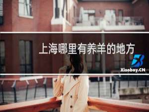 上海哪里有养羊的地方
