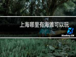 上海哪里有海滩可以玩