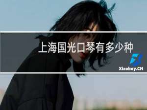 上海国光口琴有多少种