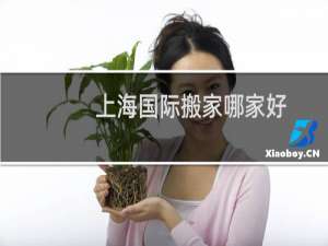 上海国际搬家哪家好