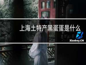 上海土特产黑蛋蛋是什么
