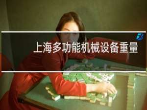 上海多功能机械设备重量