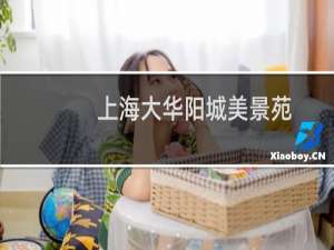 上海大华阳城美景苑