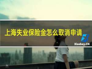 上海失业保险金怎么取消申请