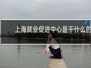 上海就业促进中心是干什么的