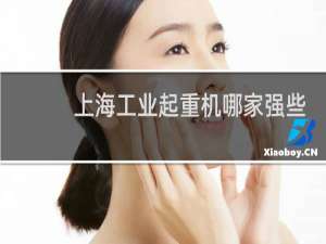 上海工业起重机哪家强些