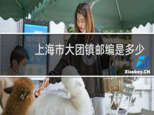 上海市大团镇邮编是多少