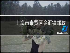 上海市奉贤区金汇镇邮政编码是多少