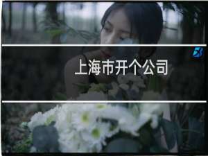 上海市开个公司