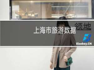 上海市旅游数据