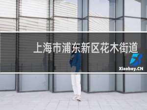 上海市浦东新区花木街道邮编是多少