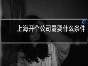 上海开个公司需要什么条件