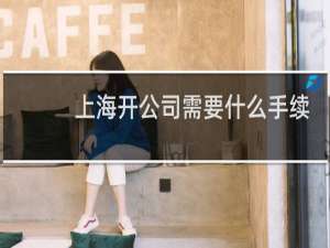 上海开公司需要什么手续