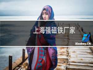 上海强磁铁厂家
