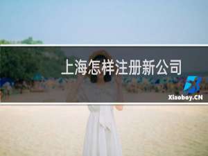 上海怎样注册新公司