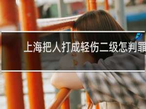 上海把人打成轻伤二级怎判罪