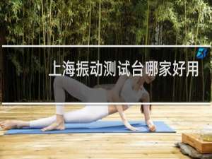 上海振动测试台哪家好用