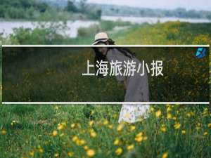 上海旅游小报