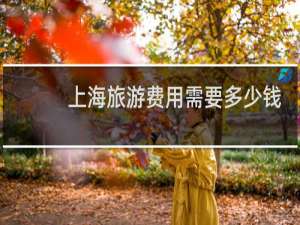 上海旅游费用需要多少钱
