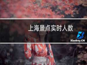 上海景点实时人数