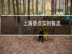 上海景点实时客流