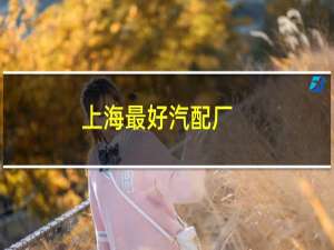 上海最好汽配厂