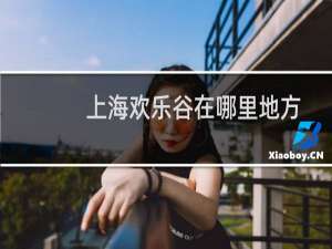 上海欢乐谷在哪里地方