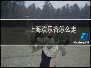 上海欢乐谷怎么走