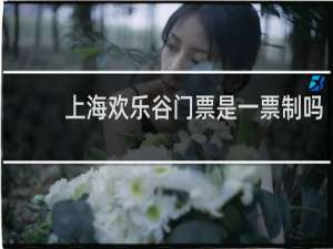 上海欢乐谷门票是一票制吗