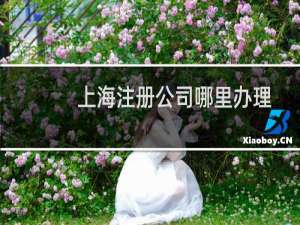 上海注册公司哪里办理