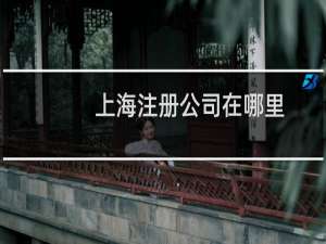 上海注册公司在哪里