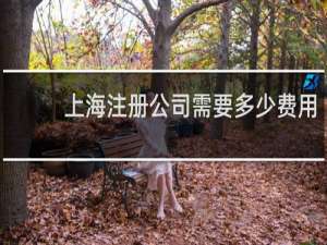 上海注册公司需要多少费用