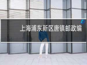 上海浦东新区唐镇邮政编码是多少啊