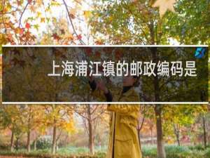 上海浦江镇的邮政编码是多少