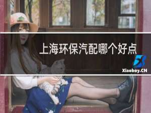 上海环保汽配哪个好点