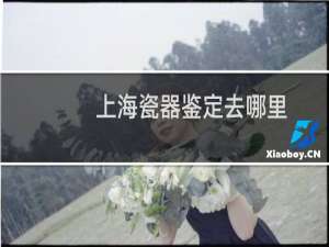 上海瓷器鉴定去哪里