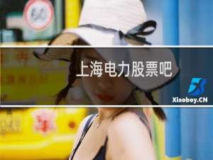 上海电力股票吧