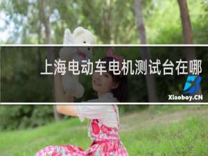 上海电动车电机测试台在哪