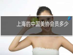 上海的中国美协会员多少