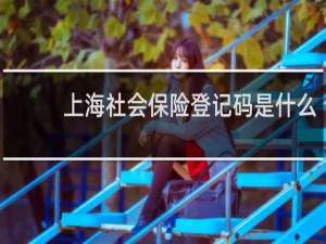上海社会保险登记码是什么
