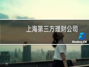 上海第三方理财公司