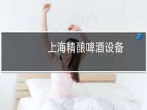 上海精酿啤酒设备